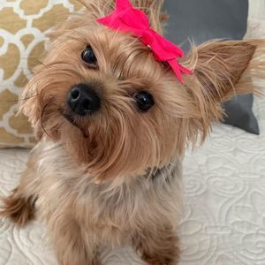 Meet your Posher, Michelle